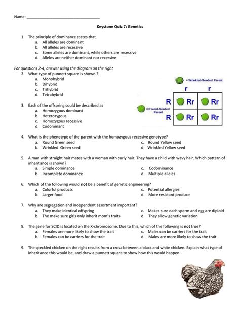 Genetics Keystone Quiz Answers Reader