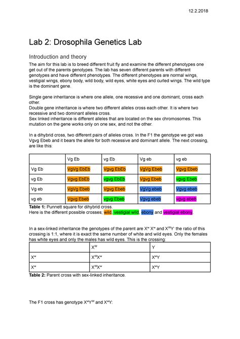 Genetics Of Drosophila Pre Lab Answers Doc