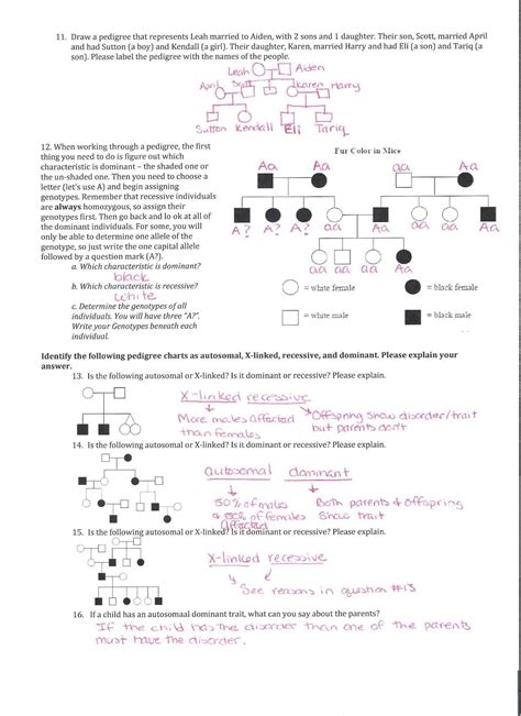 Genetics Pedigree Answer Sheet Kindle Editon