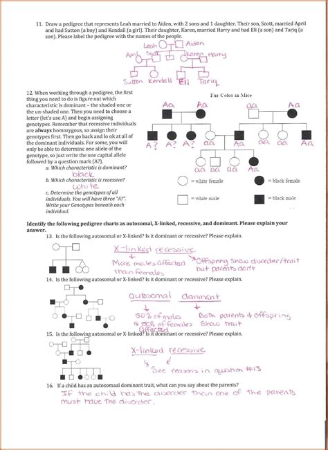 Genetics Practice 4 Pedigrees Answers Epub