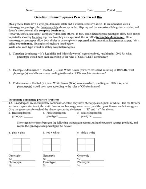 Genetics Punnett Squares Practice Packet Answer Key Ebook PDF