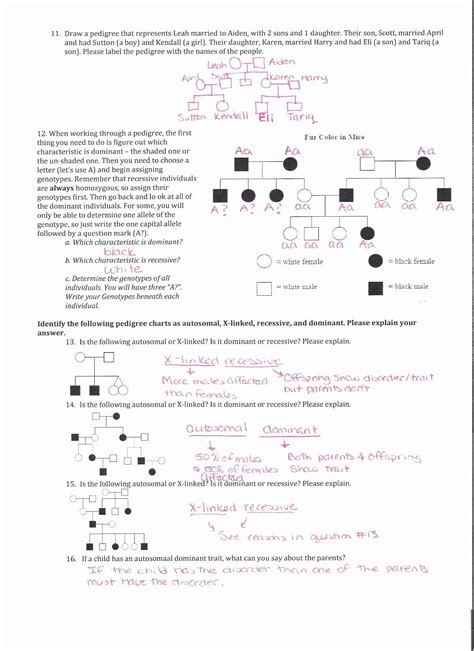 Genetics Review Answers Reader