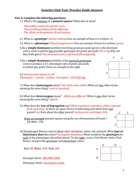 Genetics Review Worksheet Answer Key PDF