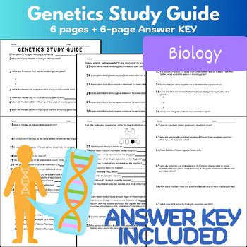 Genetics Study Guide Answers PDF