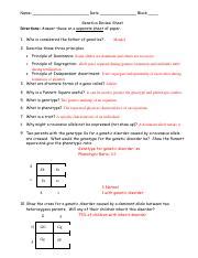 Genetics Test Review Answer Key Kindle Editon