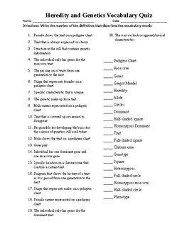 Genetics Vocabulary Quiz Answers Key PDF