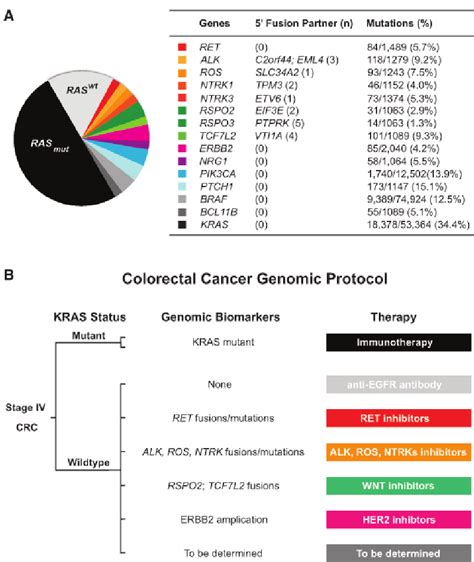 Genetics of Colorectal Cancer Reader
