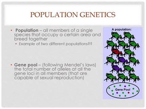 Genetics of Population and Applied Genetics Doc