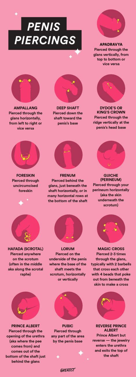 Genital Piercing Chart