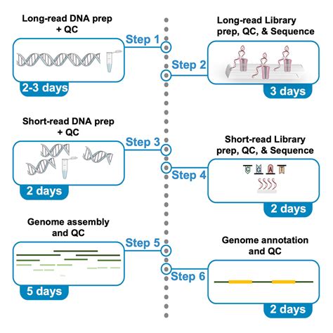 Genomics Protocols PDF