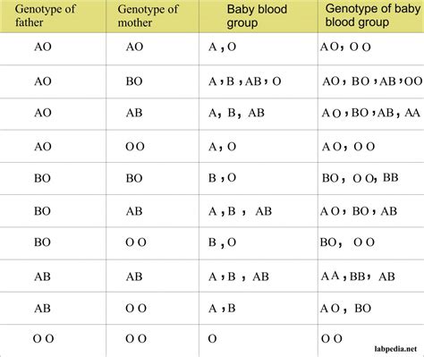 Genotype Chart For Blood Types