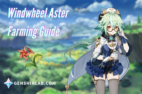 Genshin Impact's Windwheel Aster: A Comprehensive Guide