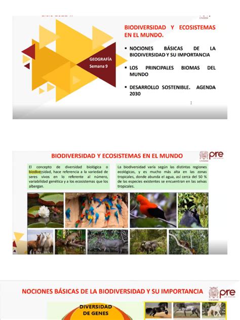 Geografía y Biodiversidad