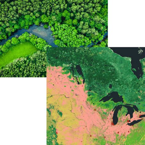 Geographic Distribution and Program Offerings