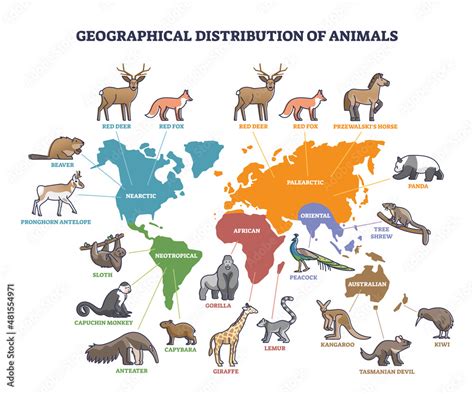 Geographical Distribution