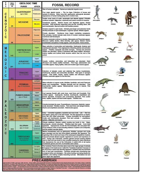 Geologic Time Word Wise Answers Earth Science Doc