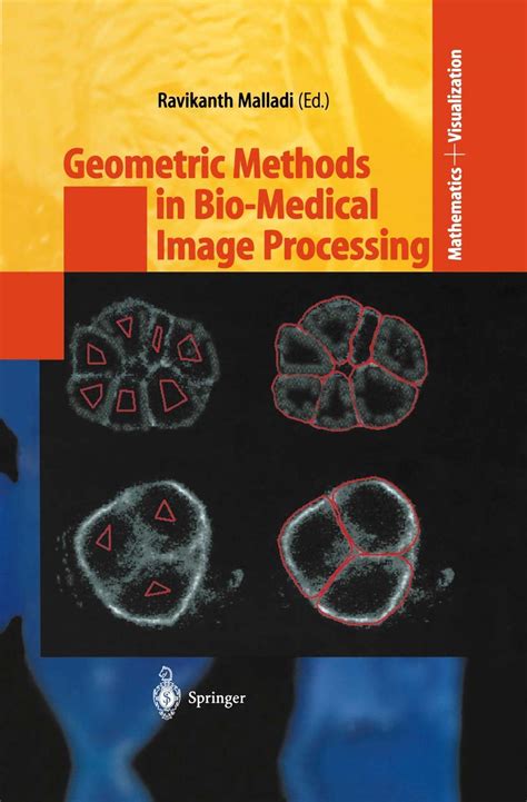 Geometric Methods in Bio-Medical Image Processing PDF