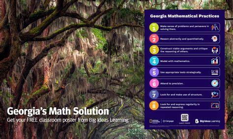 Georgia K-12 Mathematics Standards: Fueling Student Success