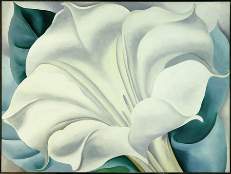 Georgia O Keeffe the Artist in Focus PDF