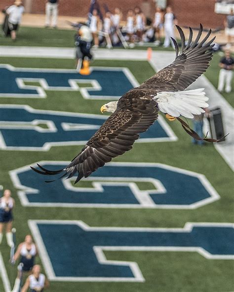 Georgia Southern Careers: An Unparalleled Advantage