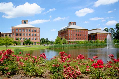 Georgia Southern University Reader