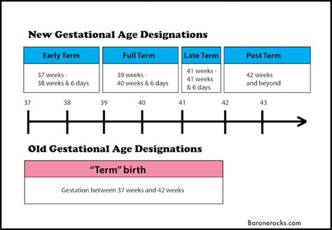 Gestational Age