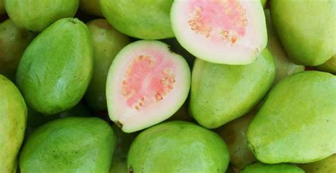 Get Ready to Harvest Luscious Guavas: The Ultimate Guide to Fertilizing Your Plant