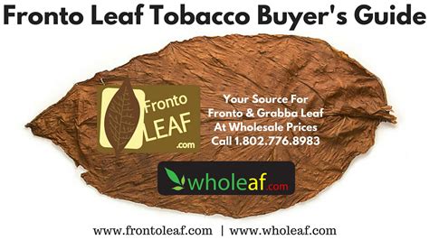 Get Your Fronto Leaf Delivered to Your Doorstep Today!