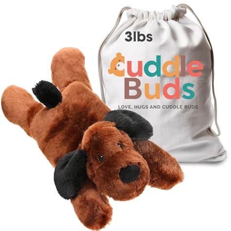 Get a Hug, Get a Bear: The Ultimate Guide to Snuggling Up with a Huggable Companion