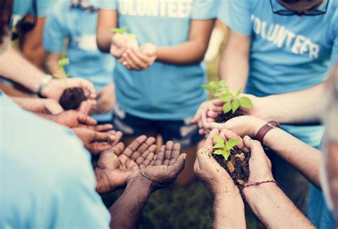 Get involved in the community: