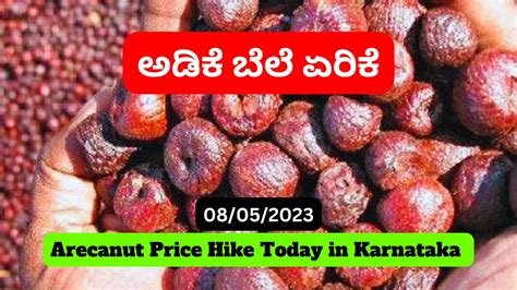 Get the Latest on Krishimaratavahini Arecanut Prices!