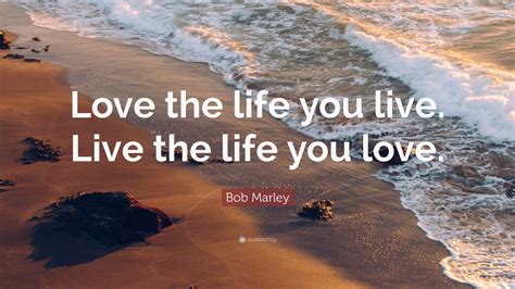 Get the Life You Love and Live It Doc