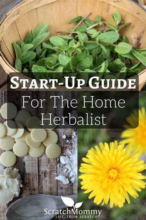 Getting Started with Home Herbology