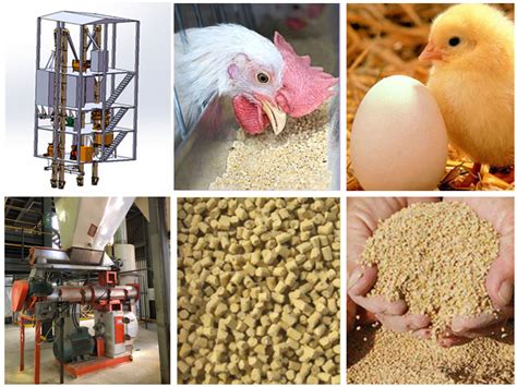 Getting Started with Poultry Feed Equipment