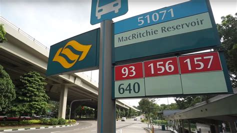 Getting There: MacRitchie Reservoir Bus Stop