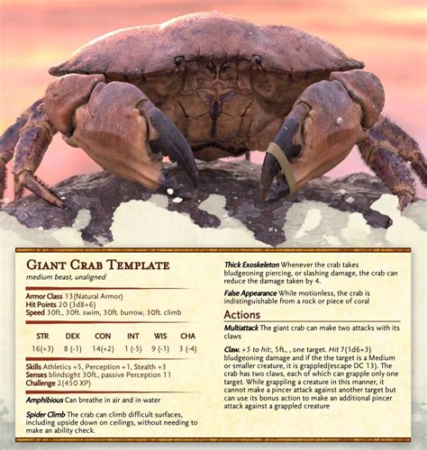 Giant Crab 5e: A Comprehensive Guide to the Mighty Crustacean