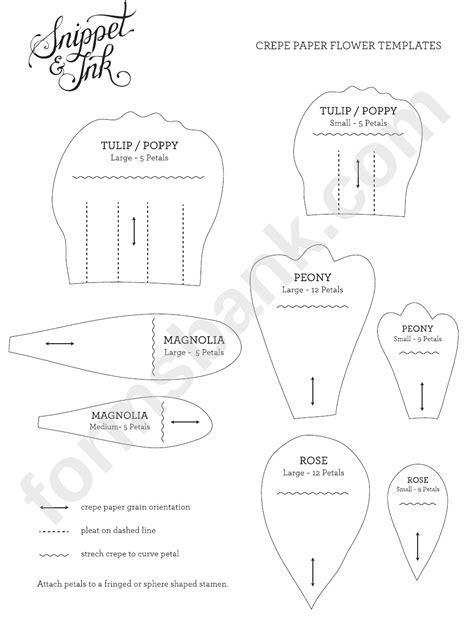 Giant Crepe Paper Flowers Template