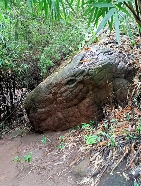 Giant Snake Rock: Unveiling the Enigma of Nature's Masterpiece