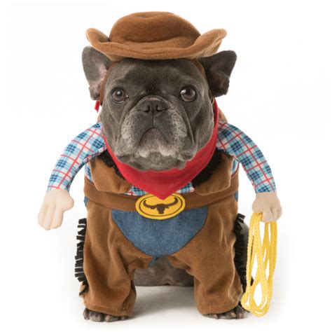 Giddy Up, Pardner: Unleashing the Spirit of the West with Dog Costume Cowboy Riding