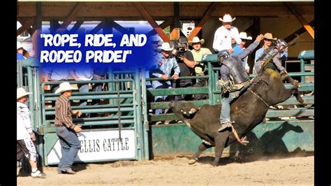 Giddy Up, Partner: Unleashing the Wild West Spirit in Your Canine Cowboy Costume