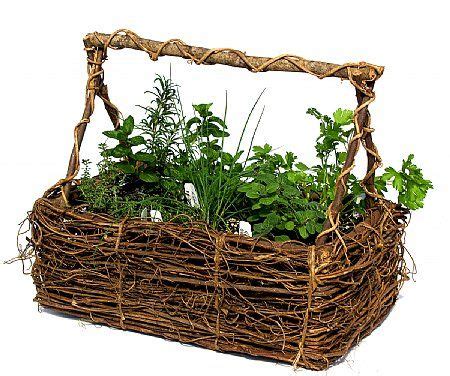 Gifts from the Herb Garden PDF