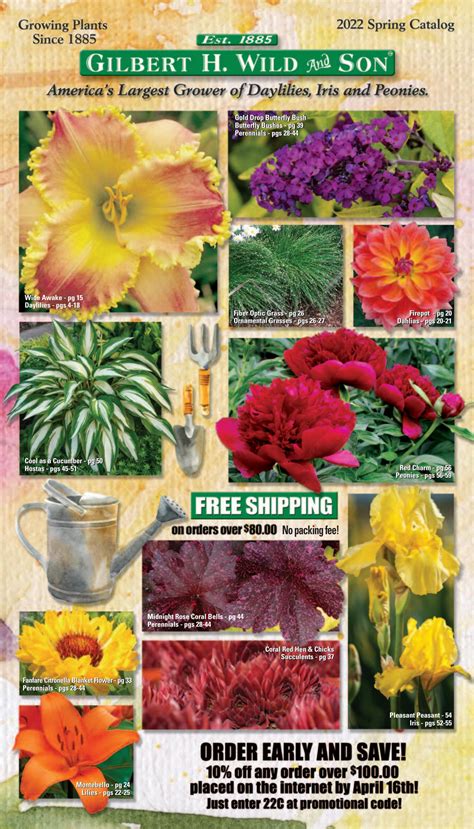 Gilbert Wild And Sons Catalog