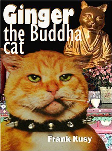Ginger the Buddha Cat