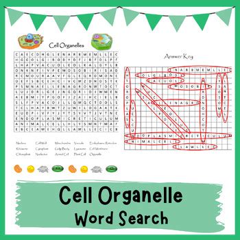 Ginormous Cells And Organelles Word Search Answers Epub