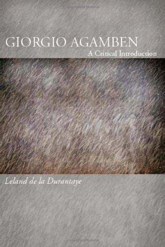 Giorgio Agamben: A Critical Introduction Kindle Editon