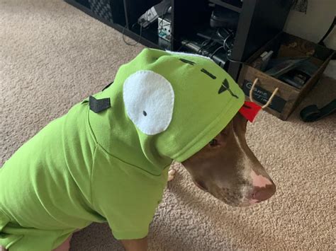 Gir Dog Costume: Unleash Your Canine's Invader Zim Obsession