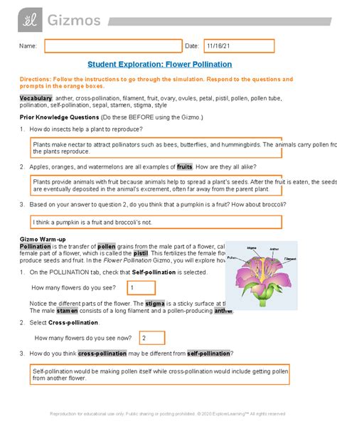 Gizmo Answer Key Flower Pollination Epub