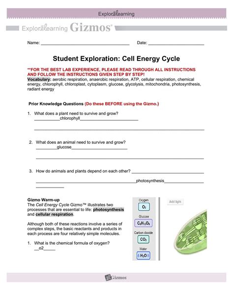 Gizmo Assessment Answers Kindle Editon