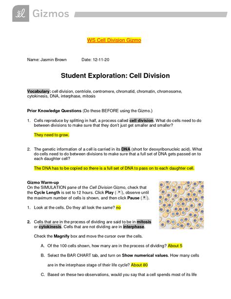 Gizmo Cell Division Answer Key PDF