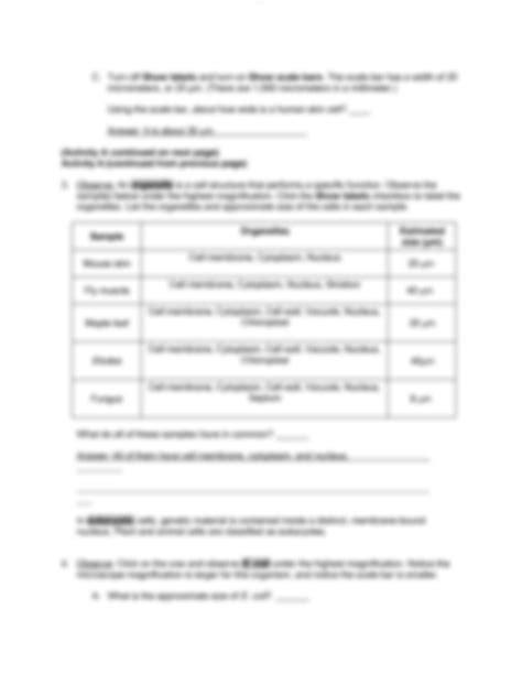 Gizmo Exploration Sheet Answer Key Reader